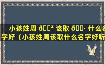 小孩姓周 🌲 该取 🌷 什么名字好（小孩姓周该取什么名字好听点）